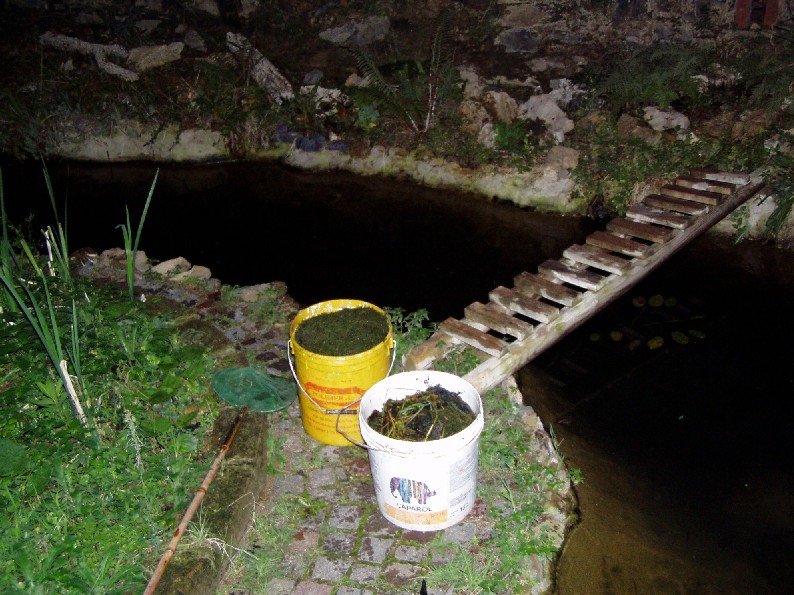 Il Laghetto del Centro di Entomologia - Piombino (LI)